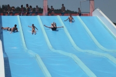 Ck Tramtaria leto Homolka