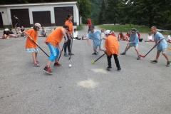 Ck Tramtaria leto Homolka