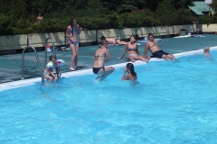 Ck Tramtaria leto Homolka