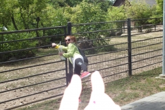 Ck Tramtaria leto Homolka