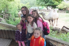 Ck Tramtaria leto Homolka