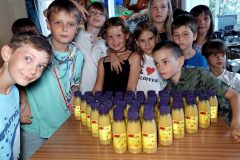 CK-Tramtaria-Homolka-Limena-6