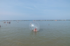 Aquazorb